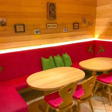 מלון Andi's Skihotel 4*