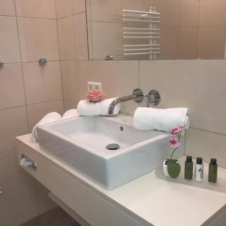 Andi's Skihotel מלון