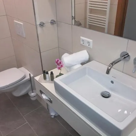 Andi's Skihotel ホテル 4*