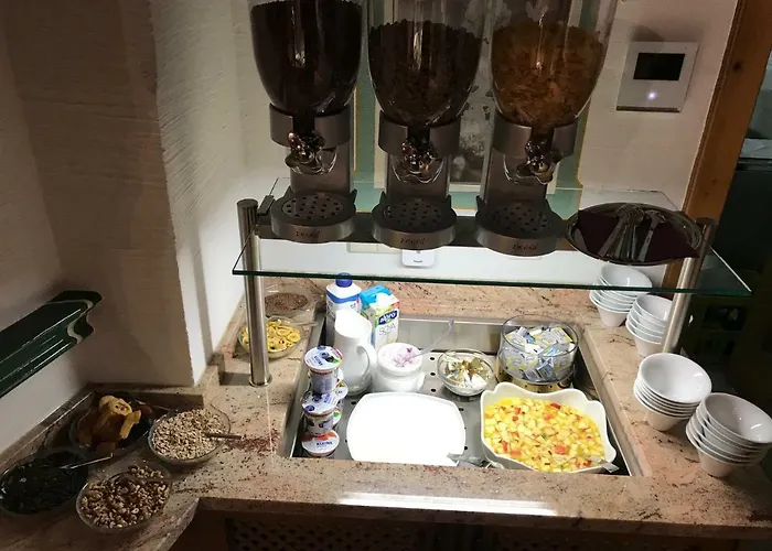 Andi's Skihotel 호텔 4*